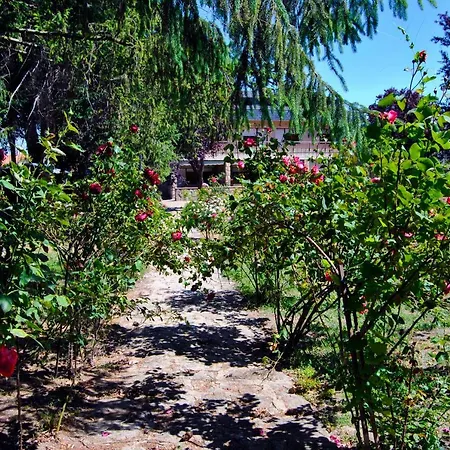 Casa El Arbol Del Lilo *